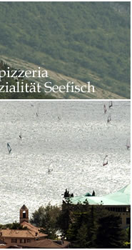 Ristorante Pizzeria LA VILLA 
